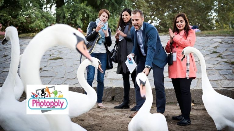 Photopoly: Journey through Time, Capture the Team Spirit
